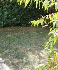 rif: AQ5916 - Appartamento in Vendita a Gossolengo