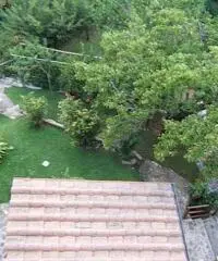 Stabile/Palazzo in vendita a Calci 520 mq
rif: 7927