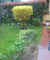 APPARTAMENTO di 4 vani e di 92 mq (CARMIGNANO)