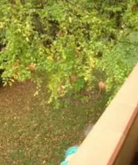 VILLA A SCHIERA di 6 vani e di 220 mq (POGGIO A CAIANO)