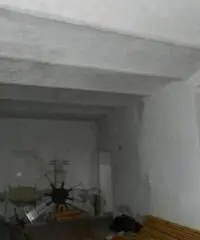 Stabile in Vendita a Riolo Terme