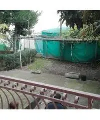 Vendita Casa indipendente da 180mq con due garage