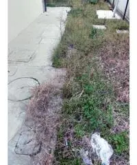 Rimini bellariva appartamento ristrutt 63mq scoperto 93mq