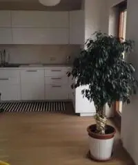 Appartamento vista mare terrazzo e box