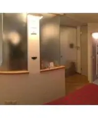 Vendita Attico da 170mq con garage