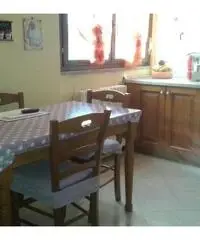 Vergiate - ampio trilocale con cantina e box