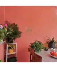 rif: JP297 - Casa indipendente in Vendita a Jesolo