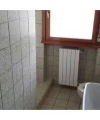 Rettorgole: Vendita Cinque locali in Via Aeroporti