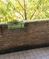 Vendita Multilocale in Vial Cul De Ola, 1