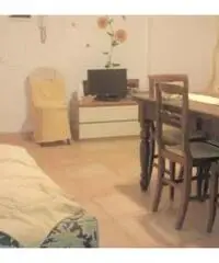 Humanitas affitto brevi periodi