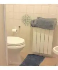 Humanitas affitto brevi periodi