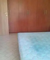 Saltara Vendita Appartamento