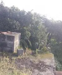 Terreno Altro in Vendita