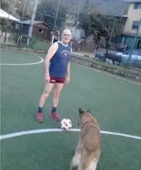 cerco assistenza e collaborazione domestica-convivenza