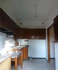 Codogne: Casa indipendente 5 Locali o piu