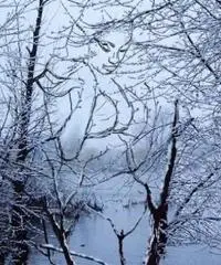 Cerco lavoro per mansione di badante assistenza anziani retribuzione desiderata contratto lavoro