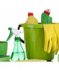 colf-badante-tata-la donna delle pulizie e stiro a solo 8 euro-