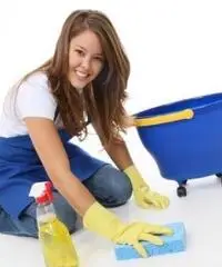 colf-badante-baby sitter-LA DONNA DELLE PULIZIE E STIRO A 8 EURO L ORA