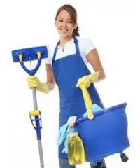 colf-badante-baby sitter-LA DONNA DELLE PULIZIE E STIRO A 8 EURO L ORA