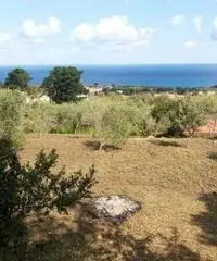 Messina: Terreno Agricolo