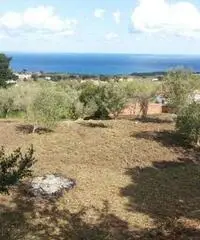 Messina: Terreno Agricolo