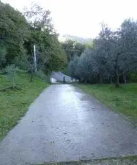 Vasto Vendita Appartamento