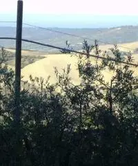 Vasto Vendita Appartamento