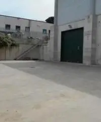 Affitto Capannone in strada Provinciale 216