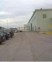 Affitto Capannone in Strada Provinciale 15a