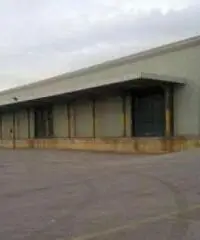 Affitto Capannone in Strada Provinciale 15a