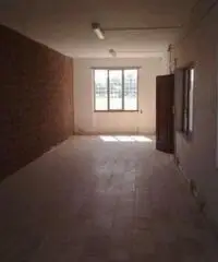 Affitto Capannone in Strada Provinciale 15a