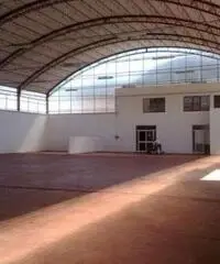 Affitto Capannone in Strada Provinciale 15a