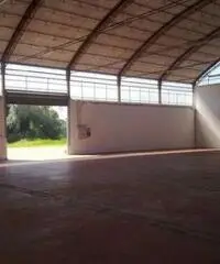 Affitto Capannone in Strada Provinciale 15a