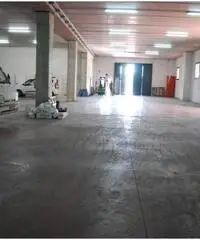 Affitto Capannone in Via Maremmana