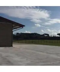 Affitto Capannone in Via di Vallericcia