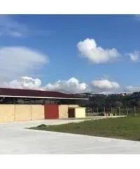 Affitto Capannone in Via di Vallericcia