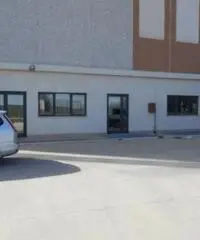 Affitto Capannone in via della Sviluppo