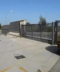 Affitto Capannone in via della Sviluppo