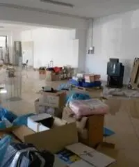 Affitto Capannone in via della Sviluppo