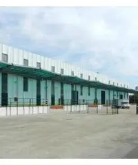 Affitto Capannone in Via Pontina Vecchia