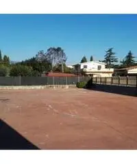 Affitto Capannone in Via Ragusa