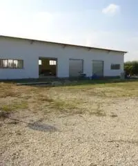 Affitto Capannone in via claudia