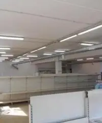 Affitto Capannone in via della Sviluppo