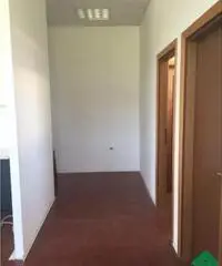 Affitto Laboratorio in Via  Via delle Grotte , 25