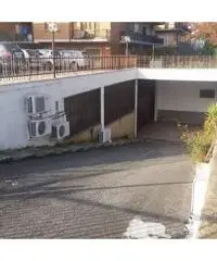 Affitto Magazzino in Via Lucrezia Romana