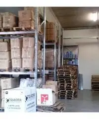 Affitto Magazzino in Via della Scienza