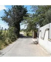 Affitto Magazzino in Via Appia Nuova, 21