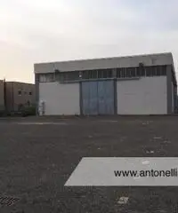 Albano Laziale -  Capannone 9 locali € 3.000 CA902