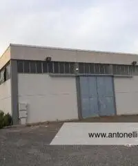 Albano Laziale -  Capannone 9 locali € 3.000 CA902