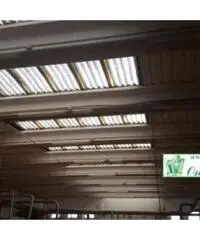 Bagni Di Tivoli: Affitto Capannone da 1200mq